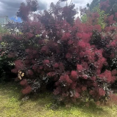 Douceur D'argile アパート