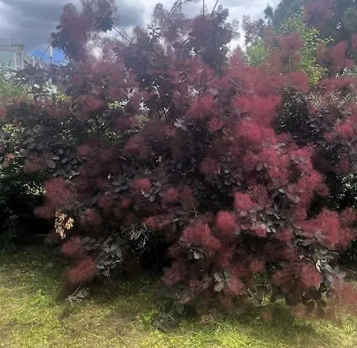 Douceur D'argile Апартаменты